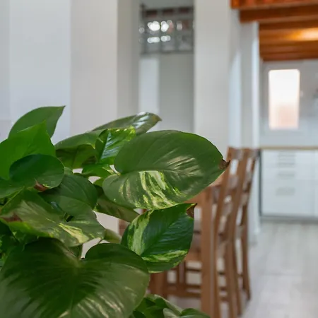 Loft Noemi - La Aldea شقة *