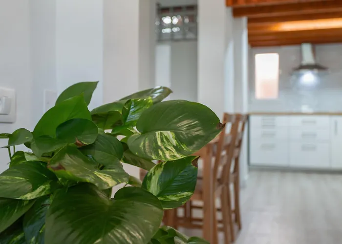 Loft Noemi - La Aldea * San Nicolás